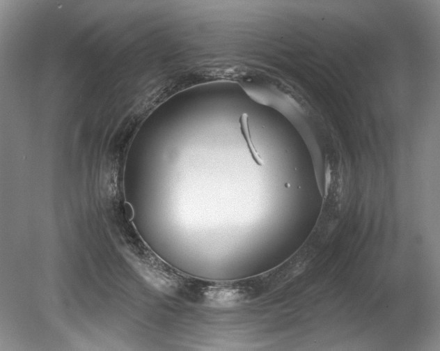 X0000078840602200611131150