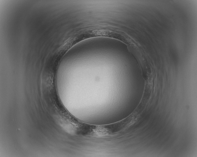 X0000078840603200611131150