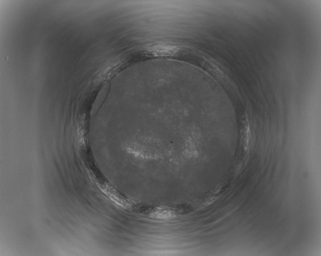 X0000078840604200611131150