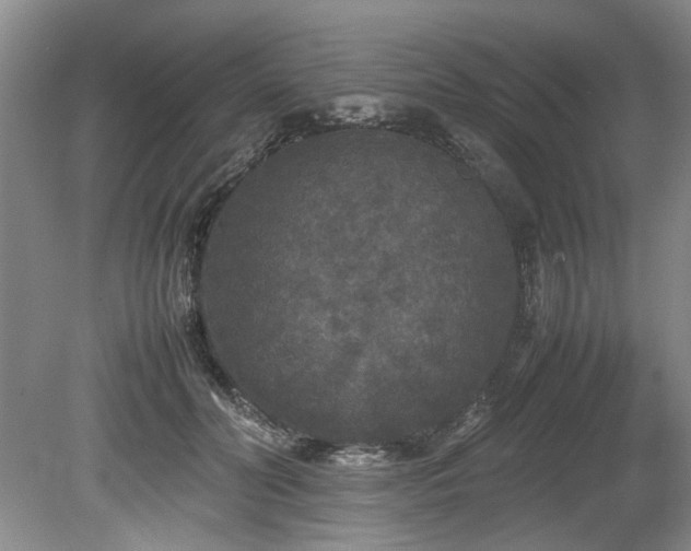 X0000078840606200611131150