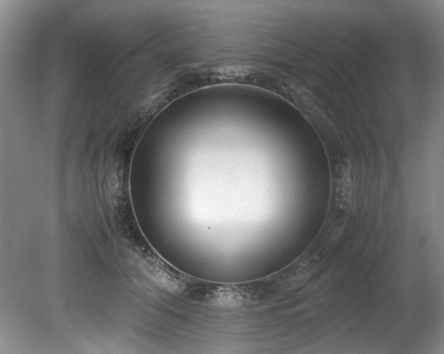 X0000078840608200611131150