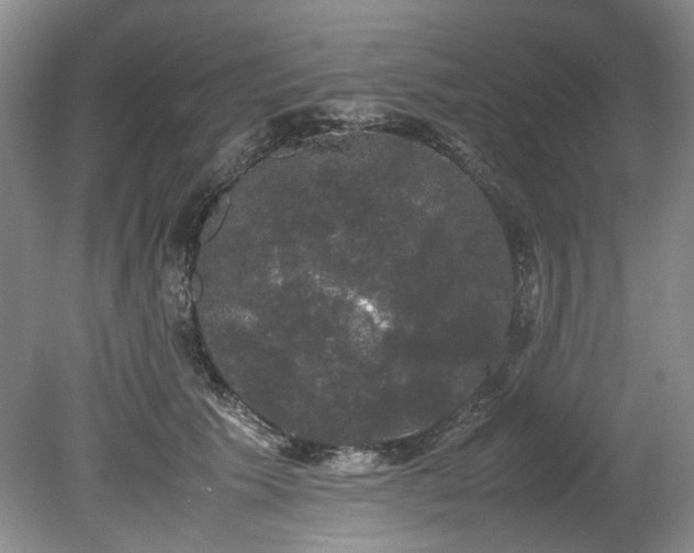 X0000078840609200611131150