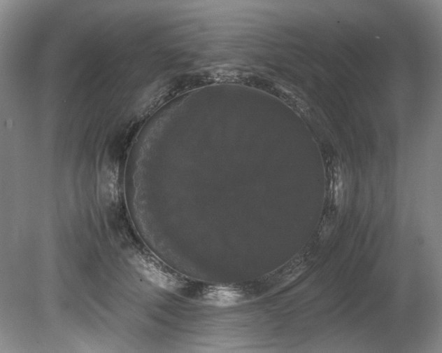 X0000078840610200611131150