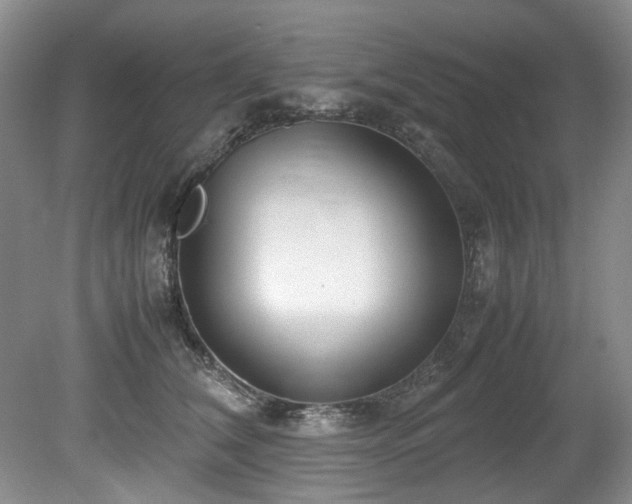 X0000078840612200611131150