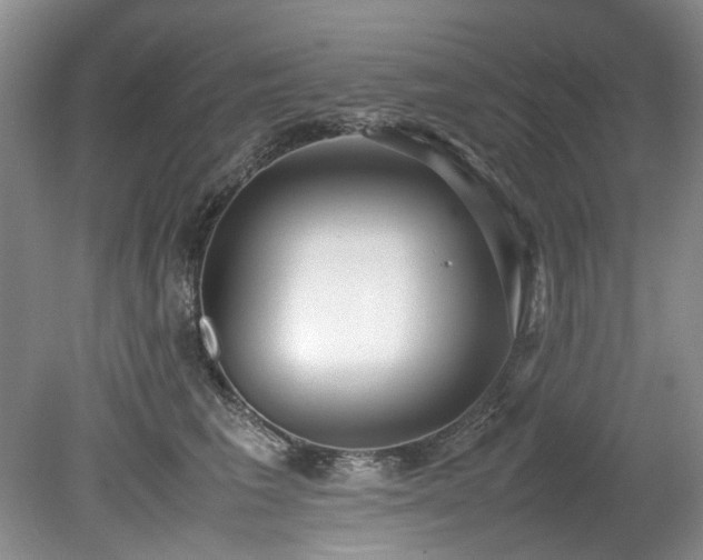 X0000078840613200611131150