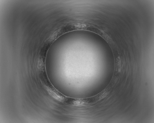 X0000078840614200611131150