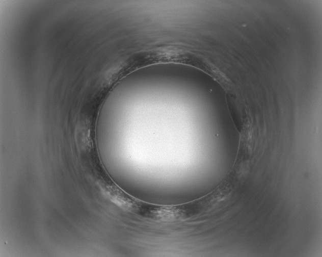 X0000078840615200611131150