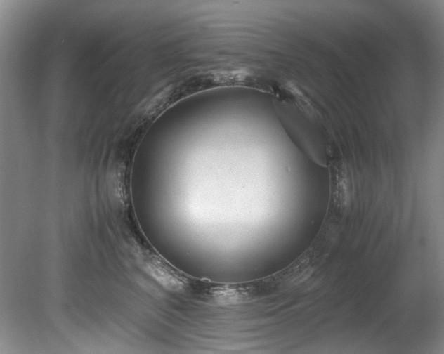 X0000078840616200611131150