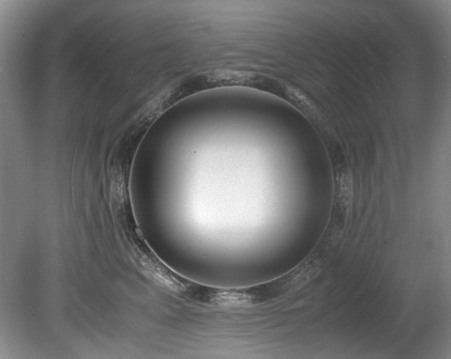 X0000078840617200611131150