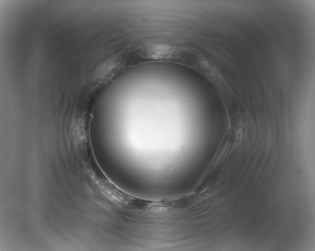 X0000078840620200611131150