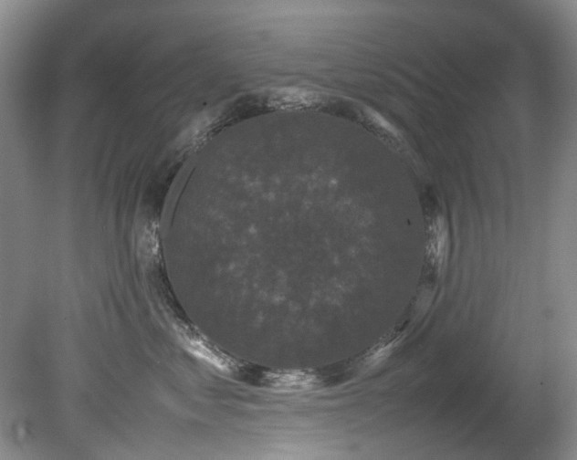 X0000078840621200611131150