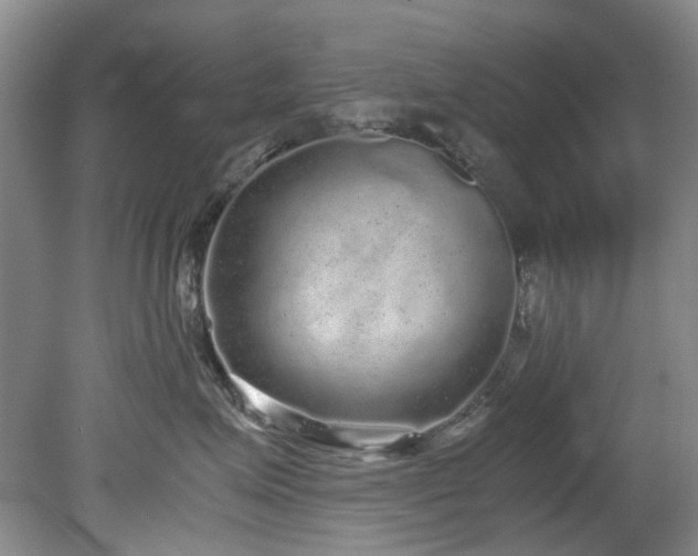 X0000078840623200611131150