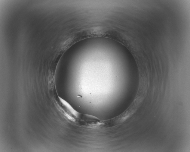 X0000078840624200611131150