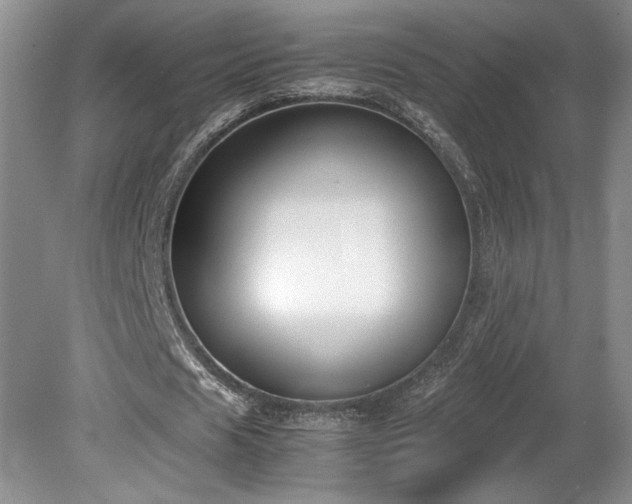 X0000078840625200611131149