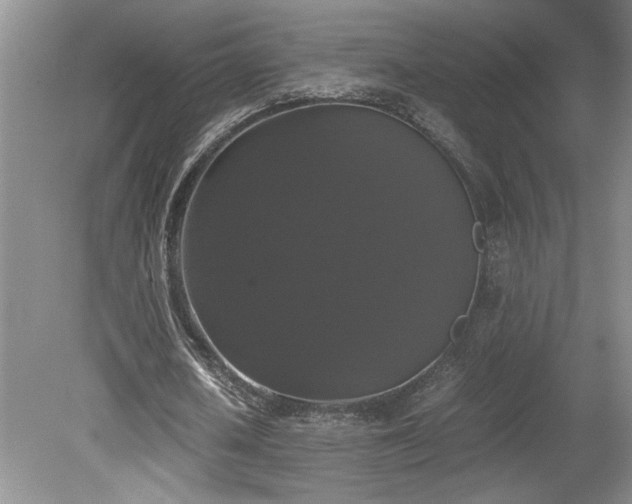 X0000078840626200611131149