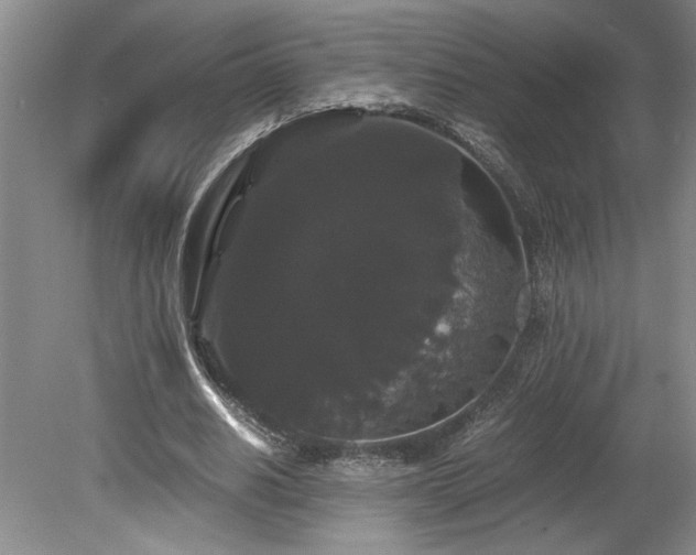 X0000078840630200611131149