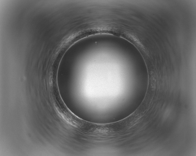 X0000078840631200611131149