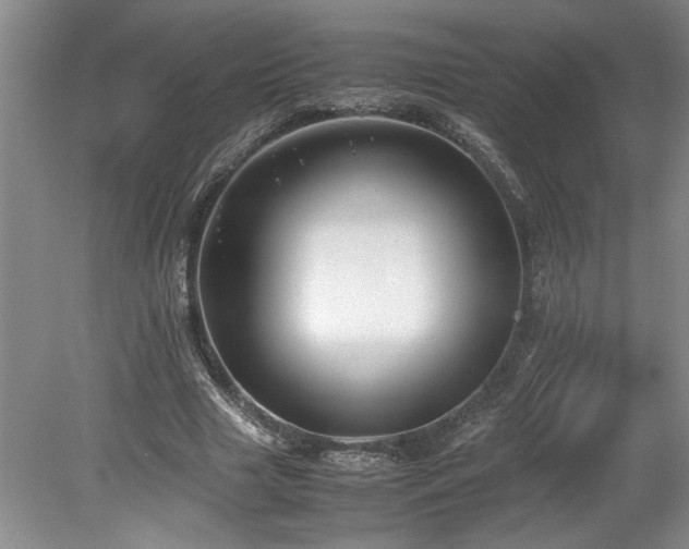 X0000078840633200611131149