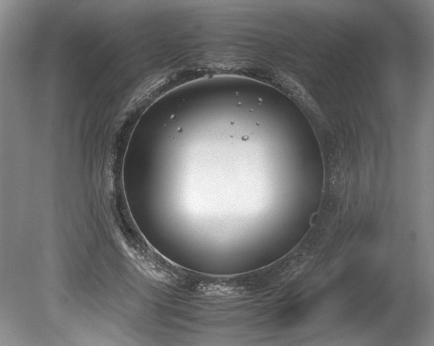 X0000078840635200611131149