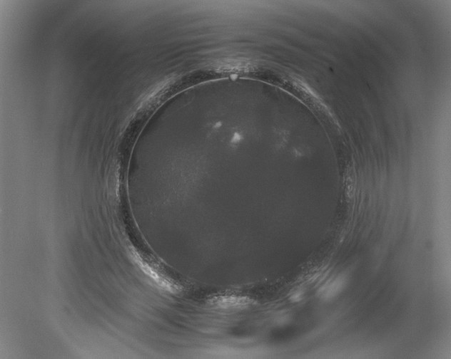 X0000078840637200611131150