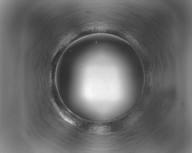 X0000078840638200611131150