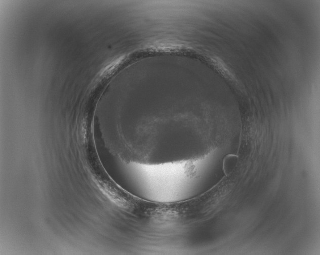 X0000078840640200611131150