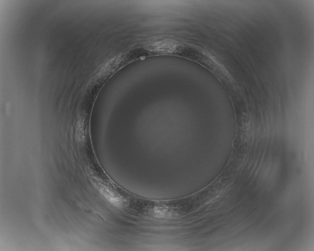 X0000078840641200611131150