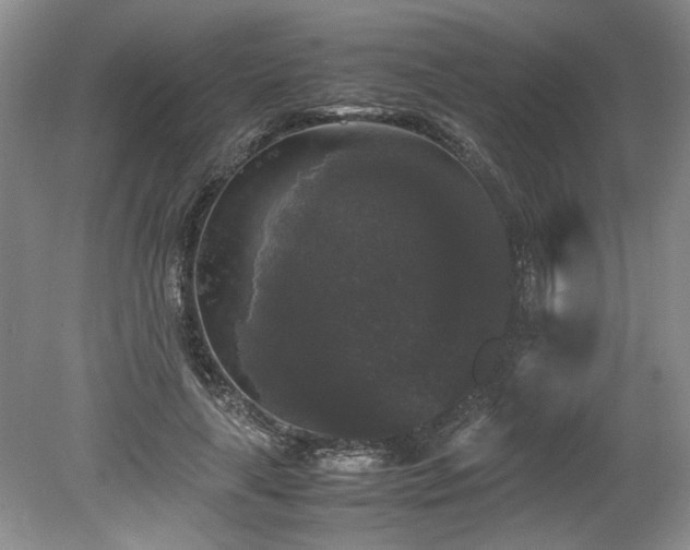 X0000078840643200611131150