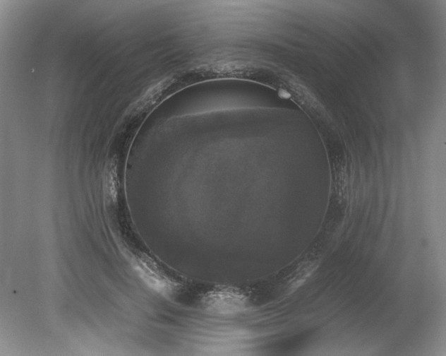 X0000078840644200611131150