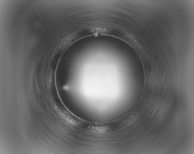 X0000078840645200611131150