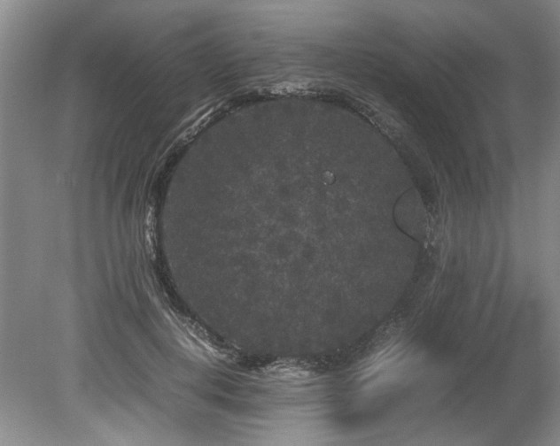 X0000078840648200611131150