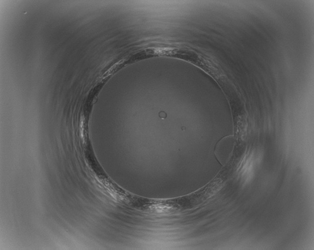 X0000078840650200611131150