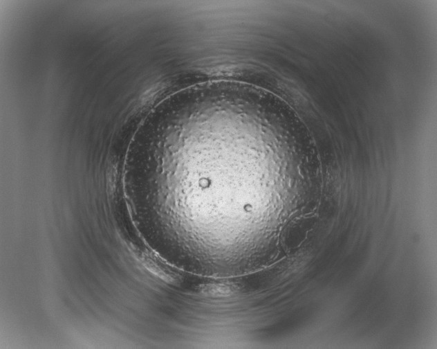 X0000078840652200611131150