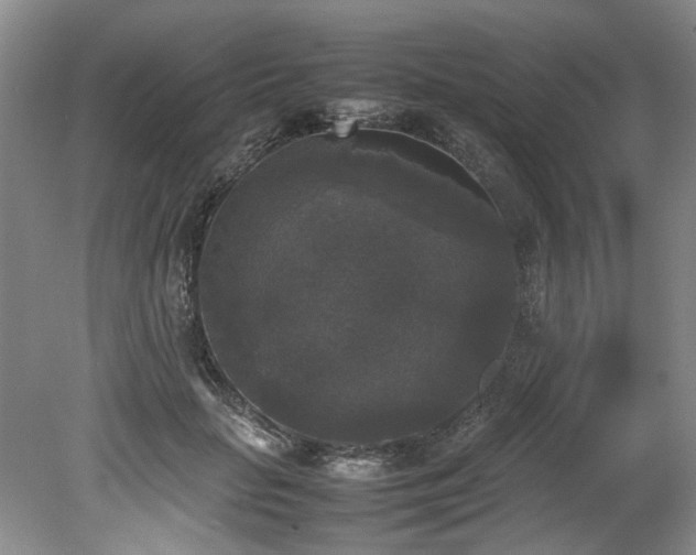 X0000078840653200611131150