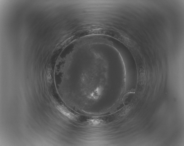 X0000078840654200611131150