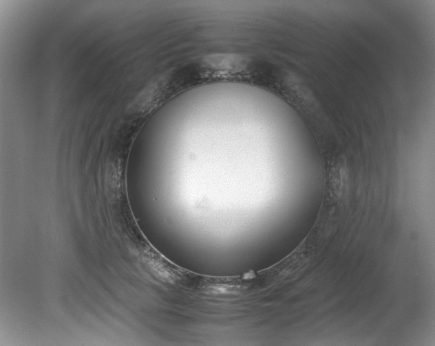 X0000078840657200611131150