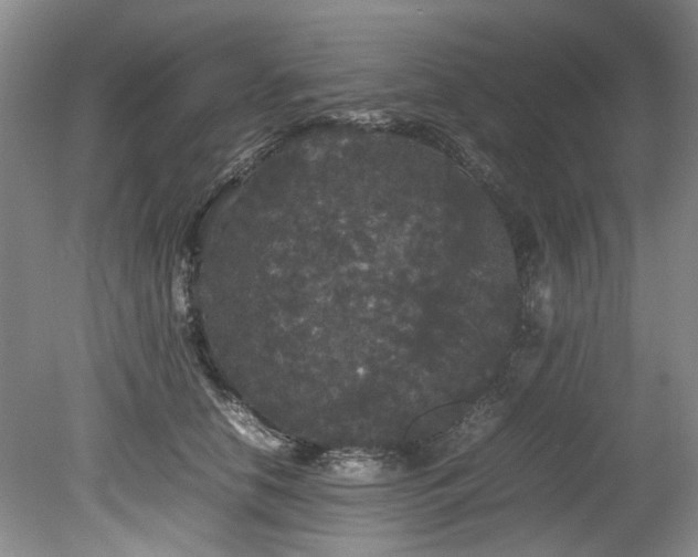 X0000078840658200611131150