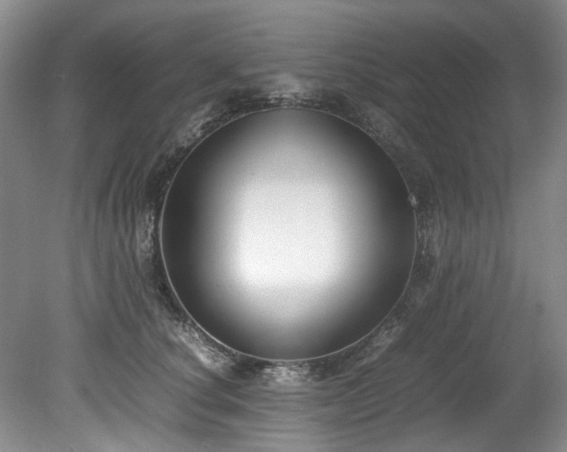 X0000078840660200611131150