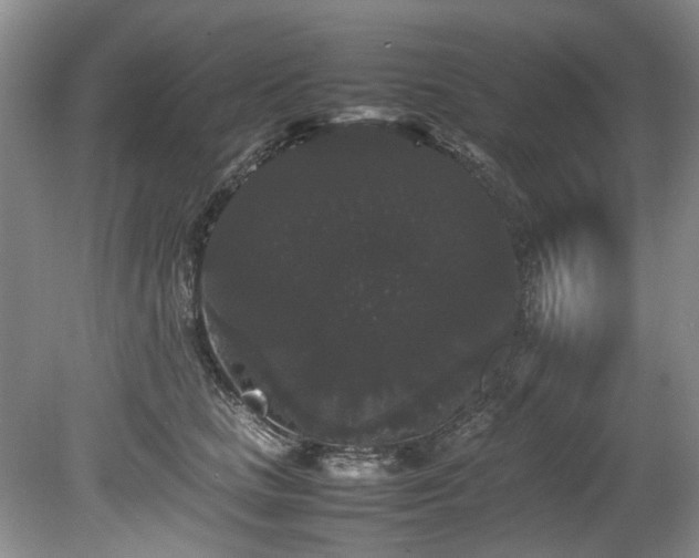 X0000078840661200611131150