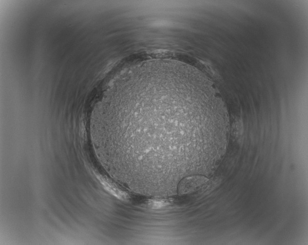 X0000078840662200611131150