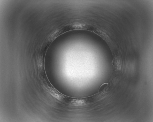 X0000078840665200611131150