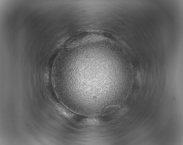 X0000078840668200611131150