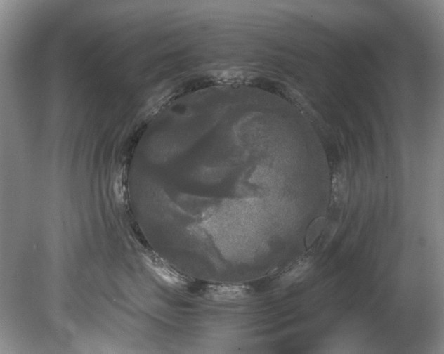 X0000078840671200611131150