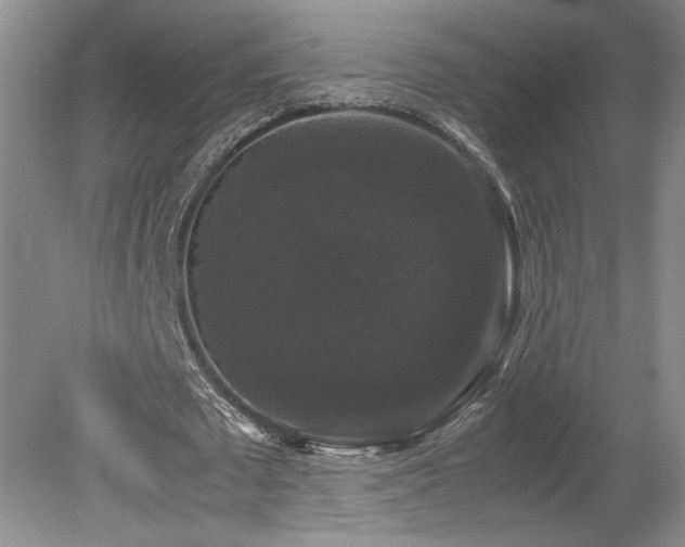 X0000078840673200611131149