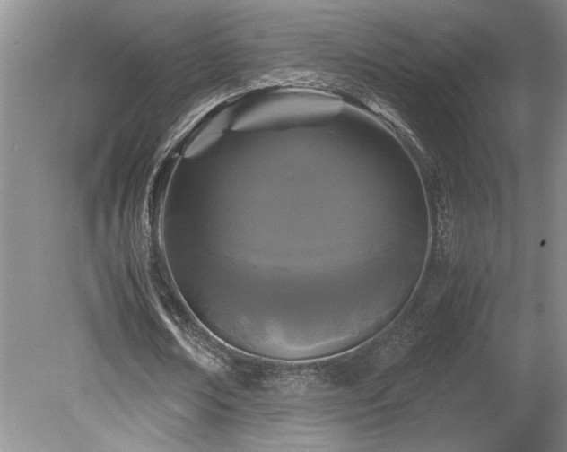 X0000078840674200611131149