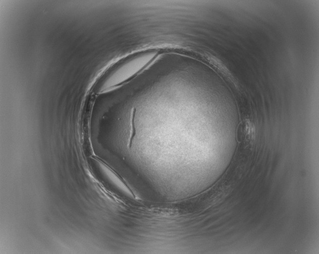 X0000078840676200611131149