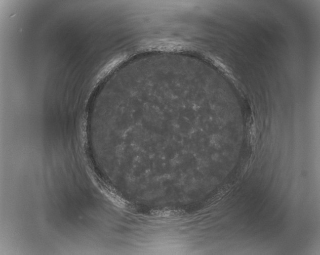 X0000078840679200611131149