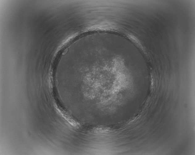 X0000078840680200611131149