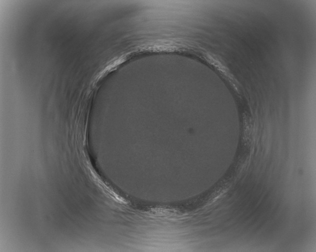 X0000078840681200611131149