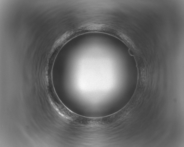 X0000078840682200611131149